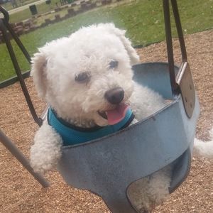 Meet your Posher, Lydia